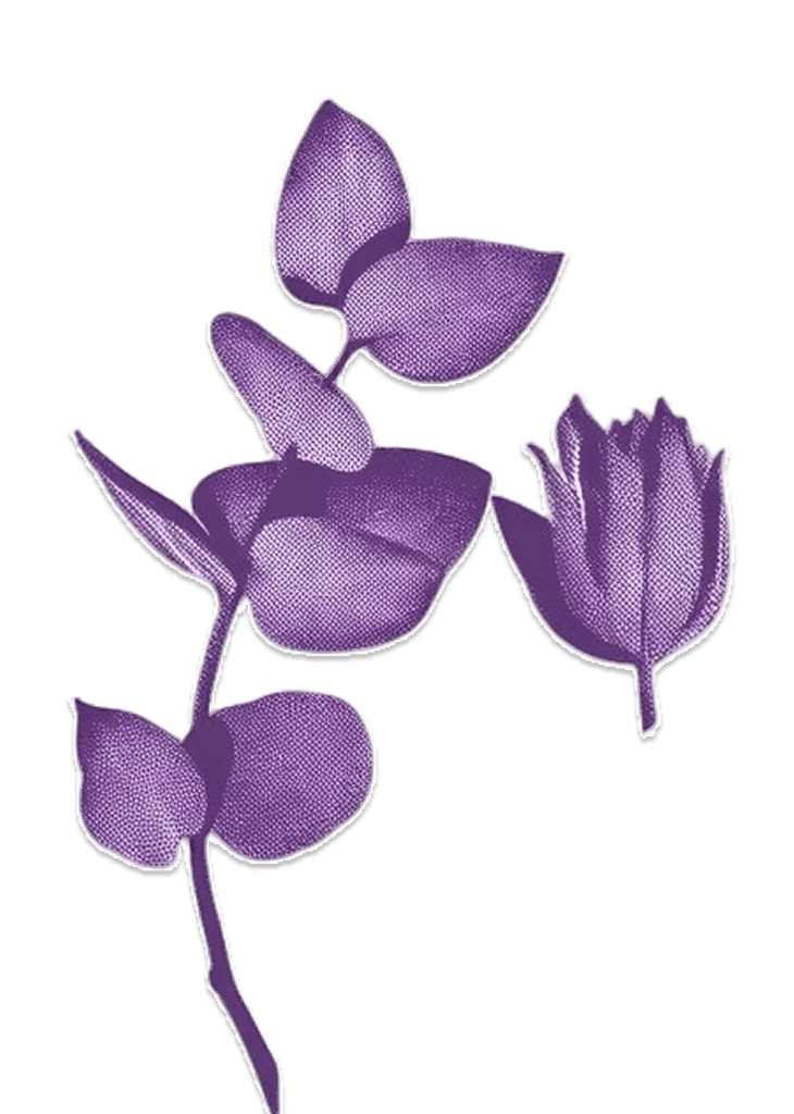 Botanical Background